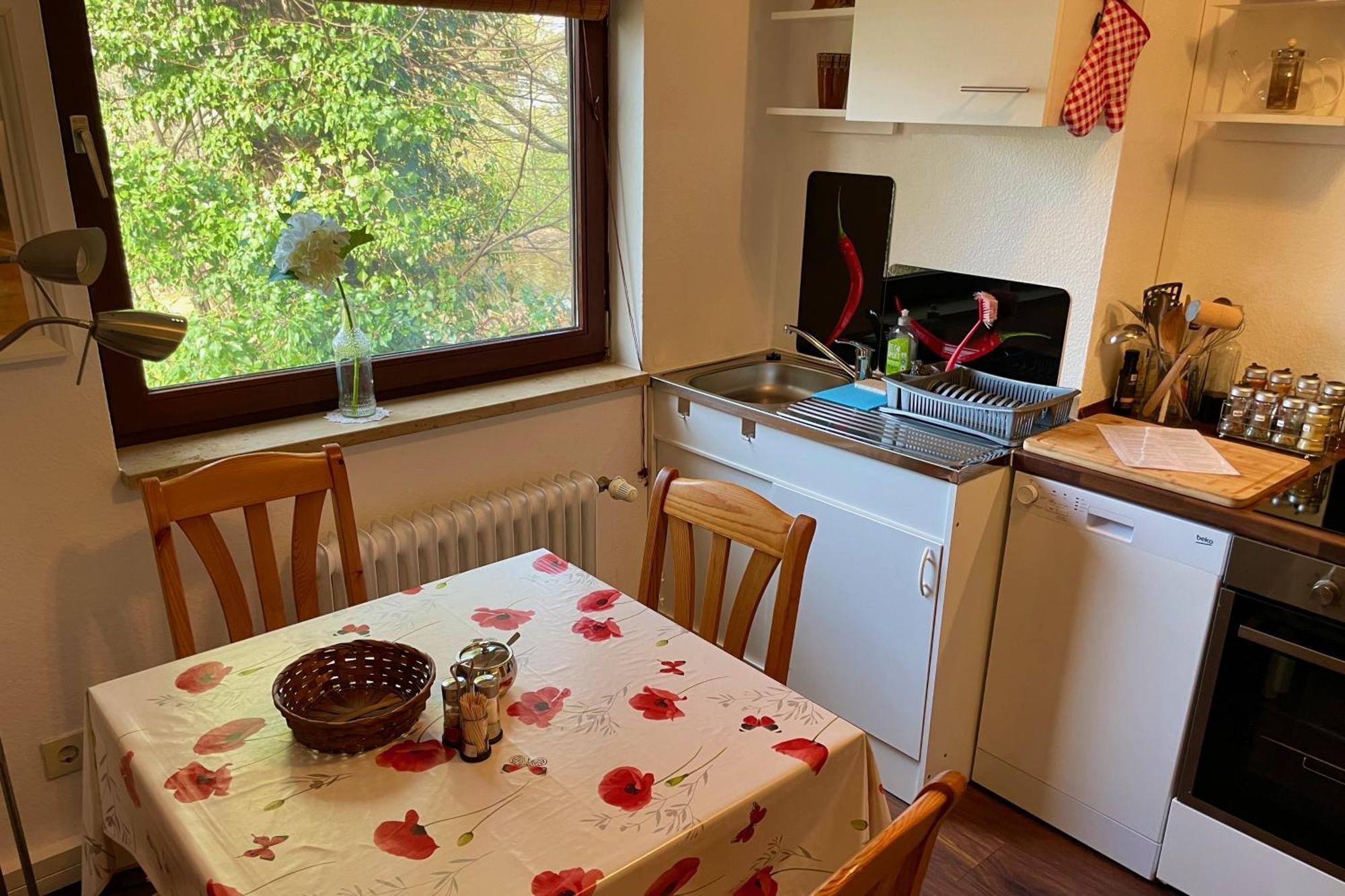 Apartament Chez Lana